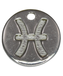 Sterling Silver PISCES Charm